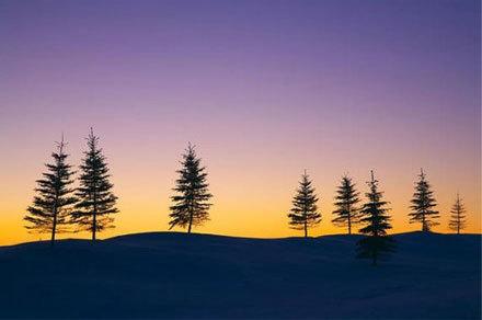 15.有一个理解，友谊总是可以立场;随着友谊，生活毫无价值。让我们了解光明。我们培养了这块土地，甜食是半口气。为了共同享受甜蜜的生活，我们需要挣扎和友谊。