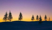 描写少女友情的句子