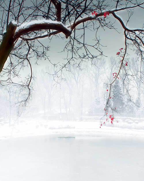 球心关于友好的句子1