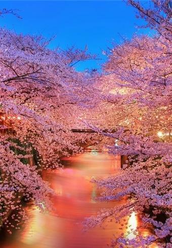 爱与异性之间的友好句子1