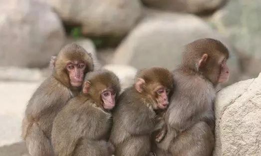 62，今年冬天越来越冷，我问爸爸：“我什么时候可以买空调？”爸爸尴尬的土地皱眉：“明天买！”第二天，爸爸曾经生锈的秒针。当空调回家时，我对我们说：“如果寒冷，只需给这个空调，你会温暖几次。”