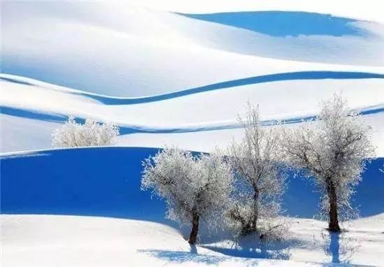 朋友圈正在下雪，谈论这句话1