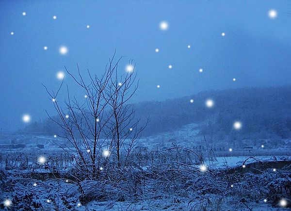 冬天的雪谈论第1句