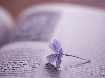 2020 Cool Qi女性网名称