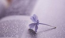 2020酷霸气女网名