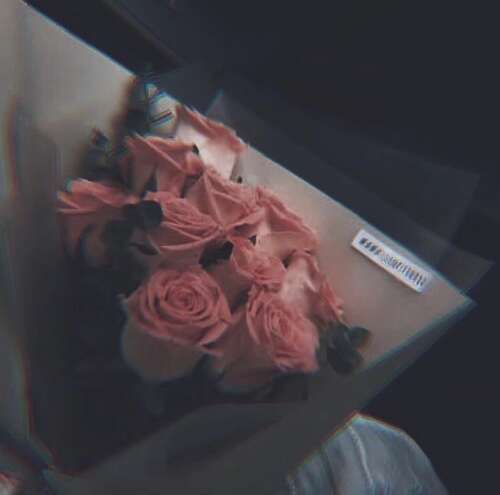 24，如果我想，这次还是一个美好的夜晚，一个人有一个新的一年，一个人有一个愉快的新年的日子，一个人是情人节，有些人会告诉我会陪伴我。