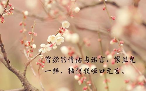 失望的句子告诉古老的句子