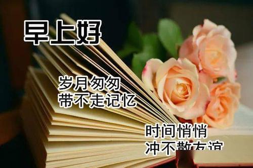 感谢客户的问候