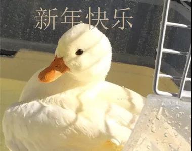 30，我承认没有一天，这是非常困难的。新的一年仍然是响声，黑夜烟灰仍然放了，不要说出来，我必须睡觉收集红色信封。