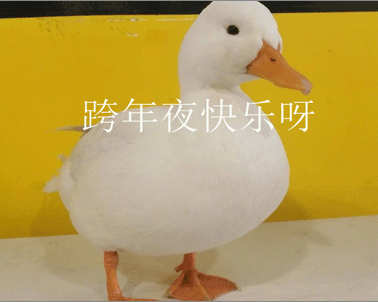 2021年新年的沙子雕刻兴趣