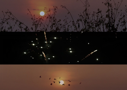 新年的问候英语