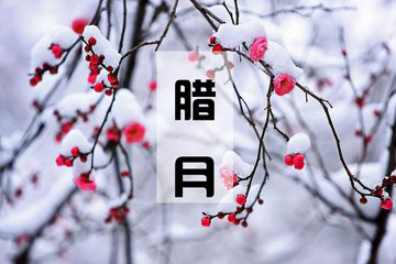 27.良好的善良并不弱，但从来没有主动伤害他人，不会纠缠，知道如何停止。再见在冬季，你好，来吧！