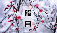 关于腊月的优美句子