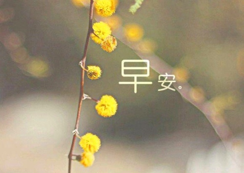 关于成功句子的朋友圈