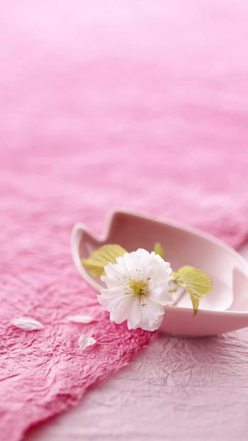 污水句的全部不足