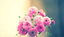 2021年全新的早安句子