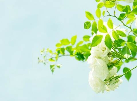 2021新的早安句子1