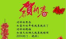 新年祝福的成语