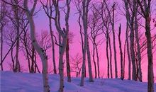 赞美同学之间的友情的句子