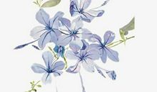 闺蜜友情幽默句子说说心情短语