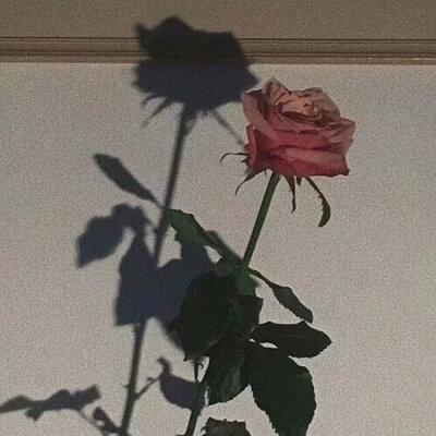 15.友谊不是一堆华丽的言论，而是一种热情的问候;友谊不是敷衍的拥抱，而是一颗心的眼睛。