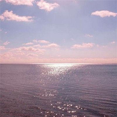 友谊课讨论抒情句