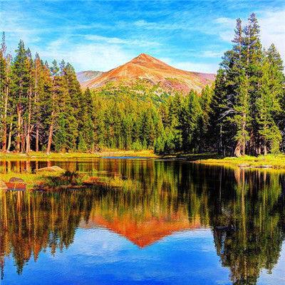 15.友谊是一种平静而平静的爱，以原因为指导，以及习惯的理解，从长远的理解和共同的合适，没有尴尬，没有恐惧。 - 麦