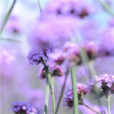 我想念谈论我的感受的可爱句子。