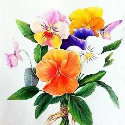 表达友谊有趣的句子1