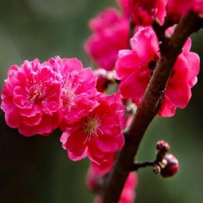 快递和有趣的句子