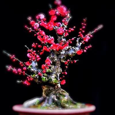 15，我像个孩子一样哭，我会回来回来。