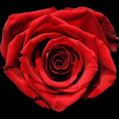 快速伤害句子友谊1