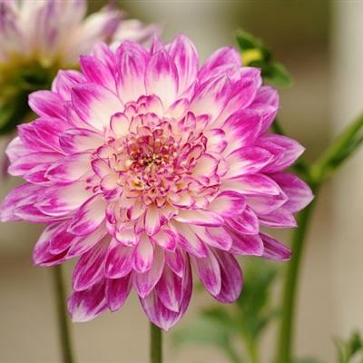 很快伤害了这句话