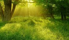 描述友情表达不舍的句子