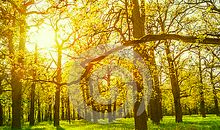 表述友情和时光的句子