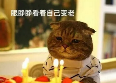 朋友圈说说治愈