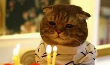 朋友圈说说治愈