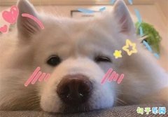 有趣的报价2021.