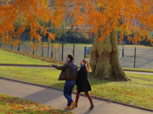 思考励志爱的英语