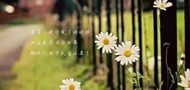 令人不快的判决