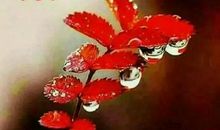 朋友圈句子冬季