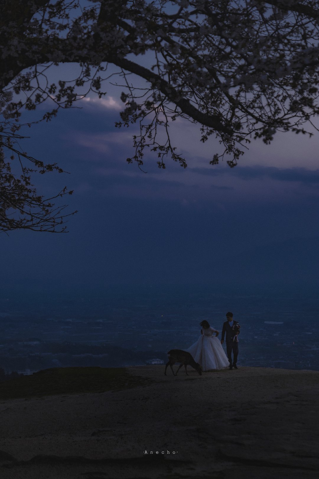 非常残酷的现实句子1