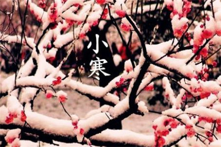 小寒冷节的诗歌