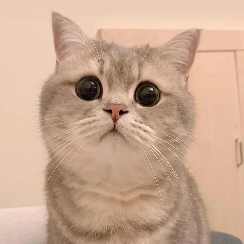 可爱的爆炸微信网络名称1