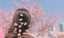 胜似爱情的友情得句子