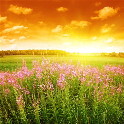 15.你的悲伤我会分享，你的幸福，我会分享它，好朋友将永远从你的朋友那里继续下去。