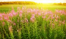 表白友情的说说霸气句子大全