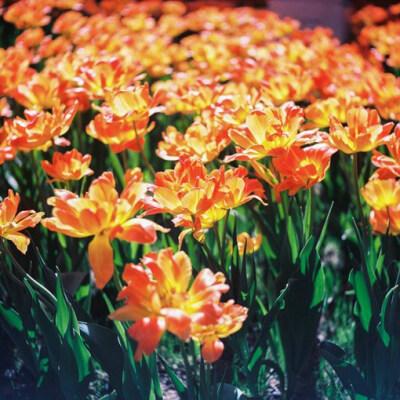 友好的短句说心情短语1