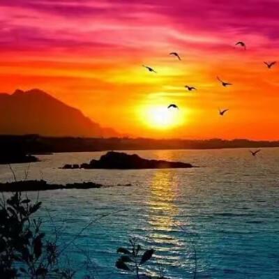 关于友情句的歌词