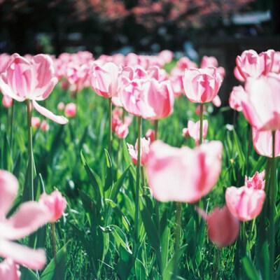 英语句子1为三个人